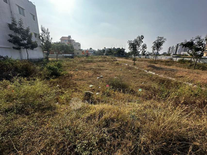 Plot For Sale  In Rayasandra
