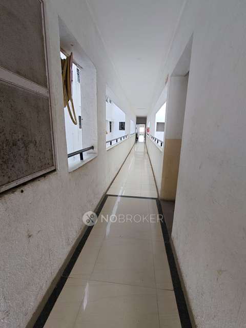 3 BHK Flat In Ivy Estate for Rent  In  Wagholi