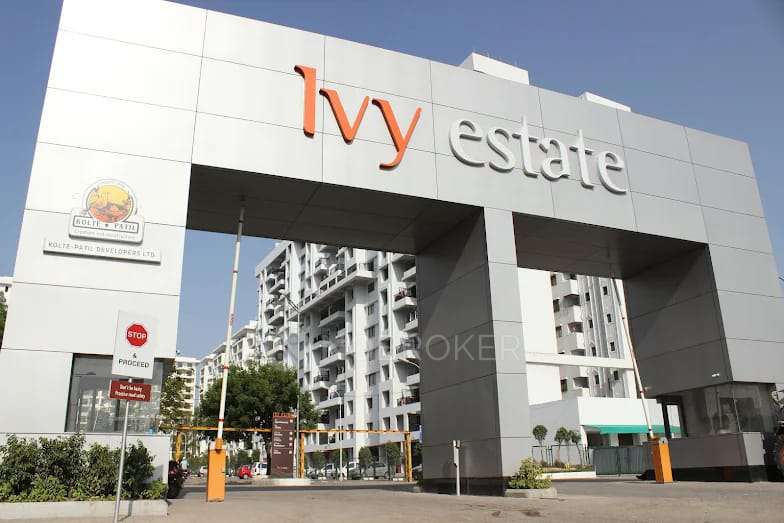 3 BHK Flat In Ivy Estate for Rent  In  Wagholi