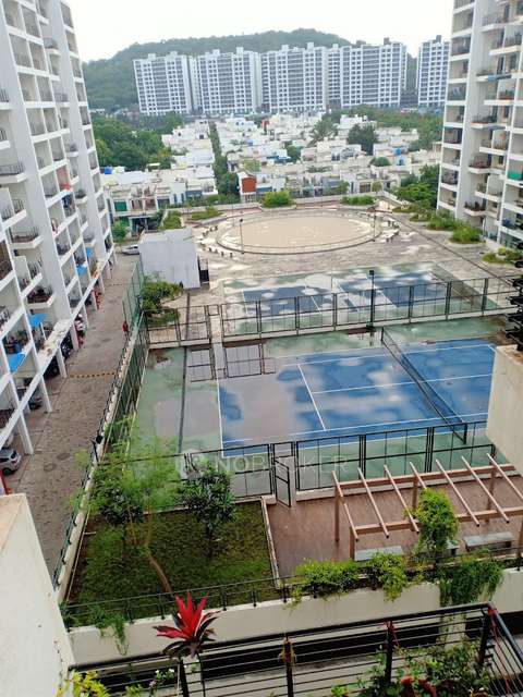 3 BHK Flat In Ivy Estate for Rent  In  Wagholi