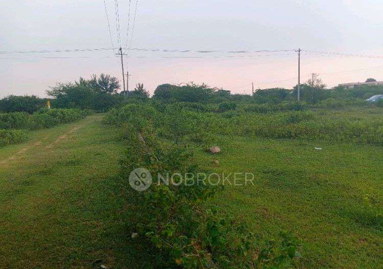 Plot For Sale  In Gowdavelly