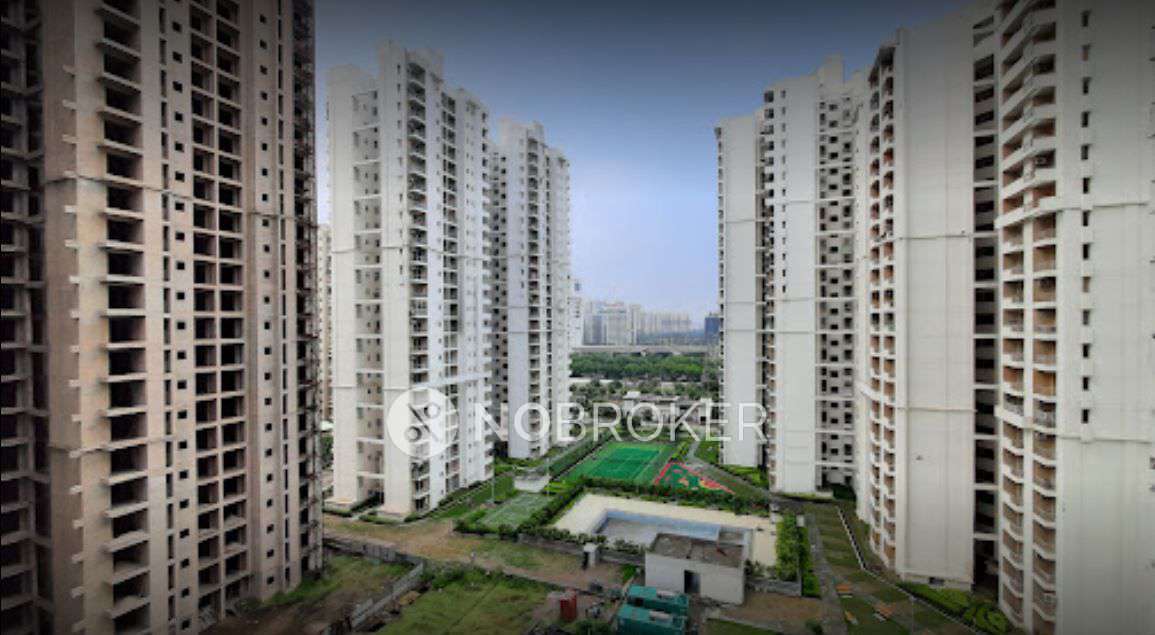 3 BHK Flat In 3c Lotus Zing, Sector 168 for Rent  In Sector 168