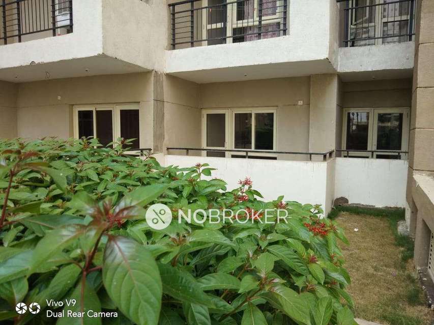 3 BHK Flat In The Golden Palms For Sale  In Sector 168