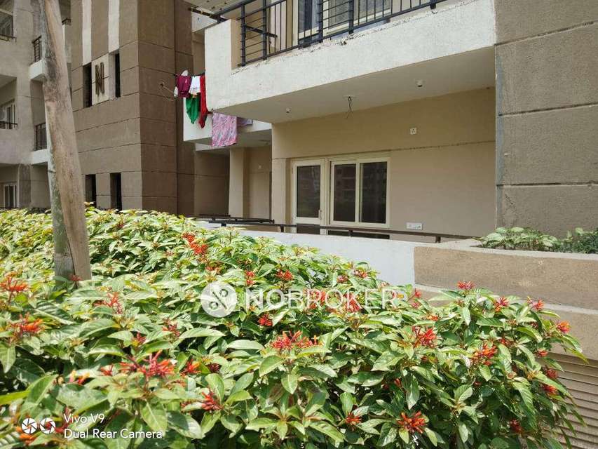 3 BHK Flat In The Golden Palms For Sale  In Sector 168