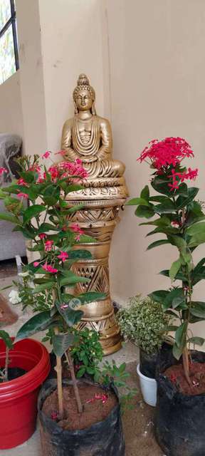 PG for Boys in Bahadurpally