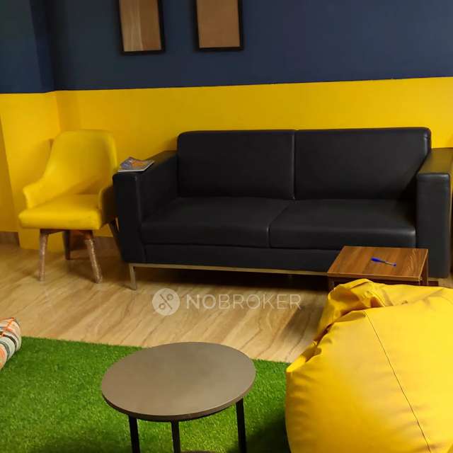 PG for Anyone in  Sector 48