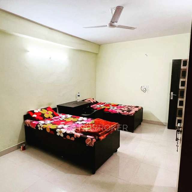 PG for Anyone in  Sector 48