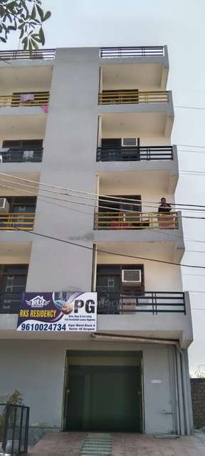 PG for Anyone in  Sector 48