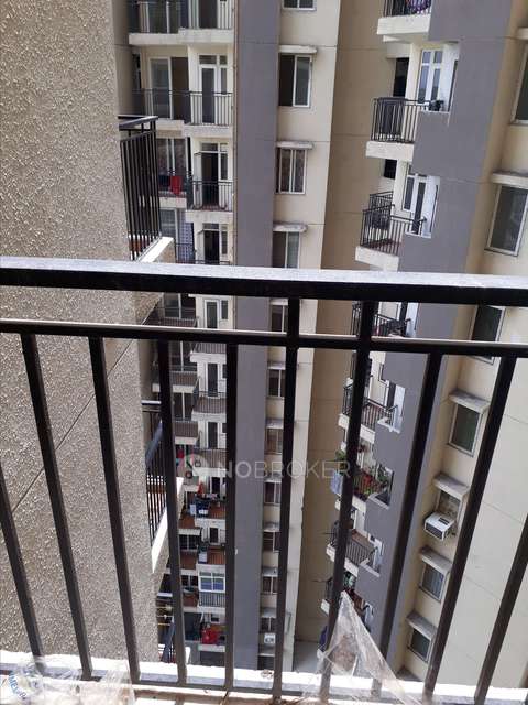 2 BHK Flat In Pigeon Spring Meadows for Rent  In Patwari