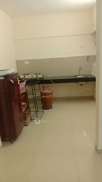 2 BHK Flat In Megapolis Sparklet for Rent  In Hinjewadi