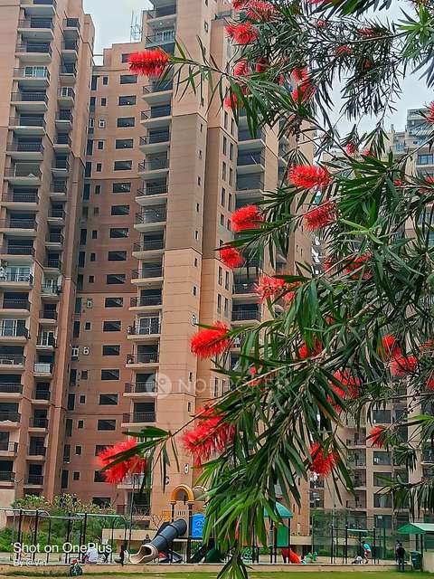 4 BHK Flat In Logix Blossom County For Sale  In Sector 137