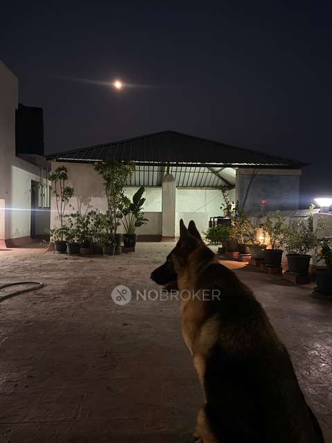 3 BHK Flat In Grand Edifice Apartments For Sale  In Hoskote