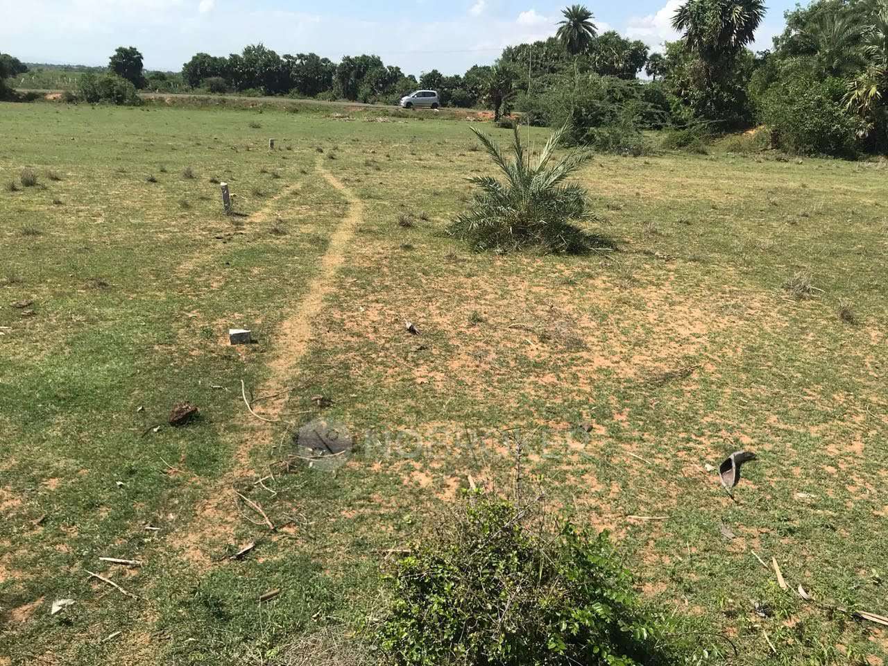 Plot For Sale  In Thiruvellur Bavanam Mens Hostel