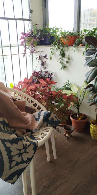 2 BHK Flat In Kasturi Apostrophe For Sale  In Moshi