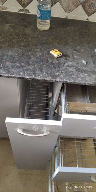 3 BHK Flat In Sb For Sale  In Sector 37