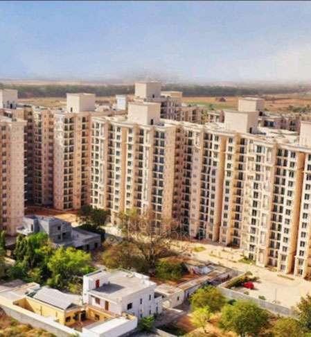 3 BHK Flat In Sb For Sale  In Sector 37