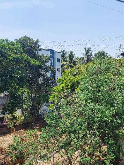 1 BHK Flat In Nirmal Residency, Dahanukar Colony for Rent  In 26aa15, Near Nirmal Residency, Dahanukar Colony, Kothrud, Pune, Maharashtra 411038, India