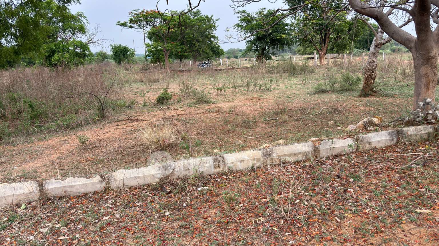 Plot For Sale  In Inole