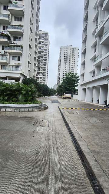 3 BHK Flat In R7 Avenue, Life Republic Township for Rent  In  Pimpri-chinchwad