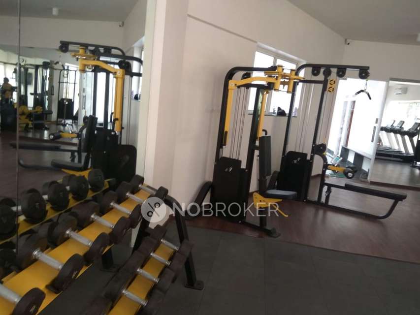 2 BHK Flat In Marvel Ideal Spacio for Rent  In *****