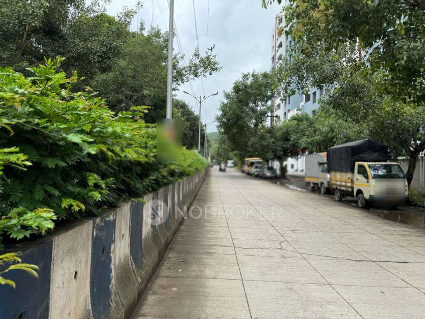 2 BHK Flat In Ratanraj for Rent  In Sai Chowk