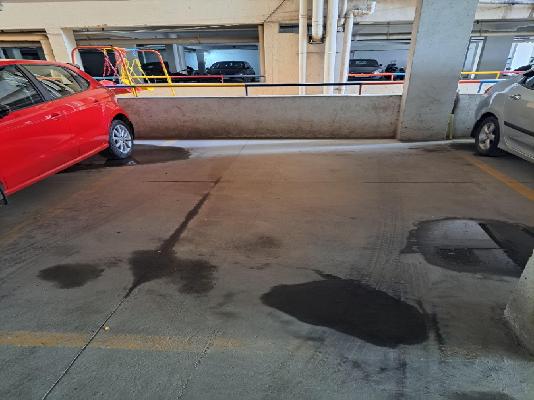 3 BHK Flat In Vm Meadows For Sale  In Horamavu