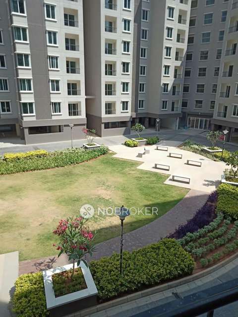 2 BHK Flat In Brigade Orchards For Sale  In Devanahalli