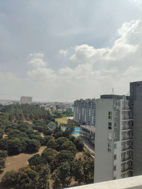 2 BHK Flat In Sjr Blue Waters For Sale  In Sarjapur Road