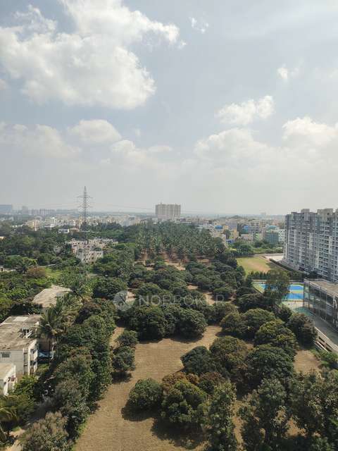 2 BHK Flat In Sjr Blue Waters For Sale  In Sarjapur Road