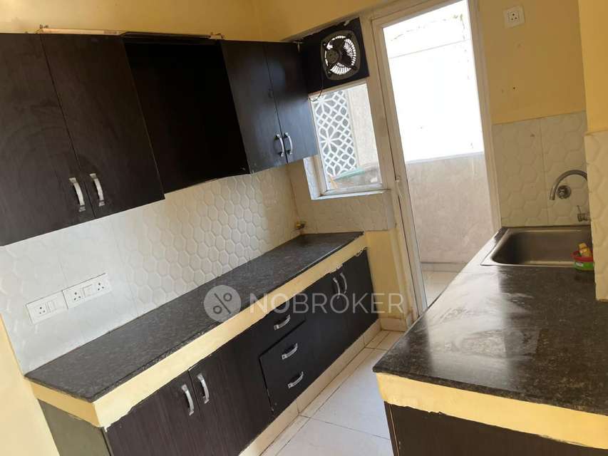 2 BHK Flat In Ace Golfshire for Rent  In Sector 150