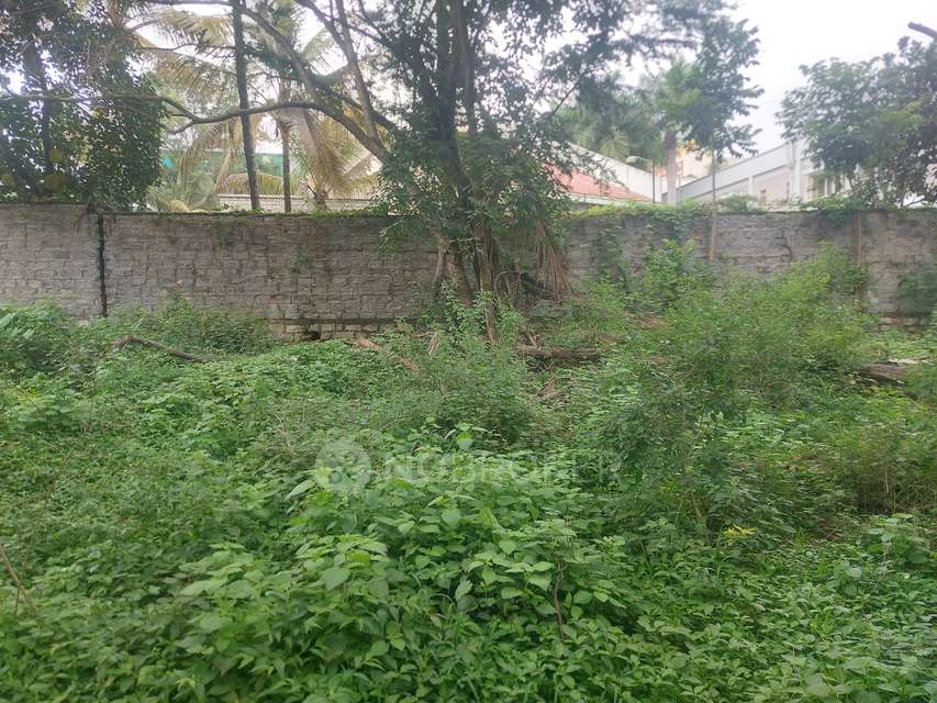 Plot For Sale  In Ckikkakammana Halli