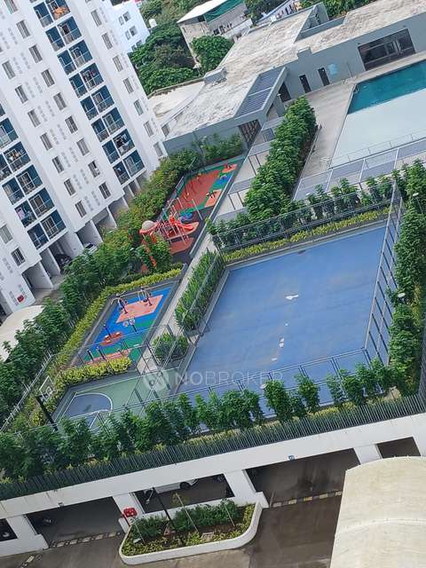2 BHK Flat In Megapolis Saffron  for Rent  In Hinjawadi