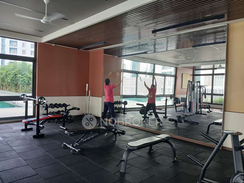 2 BHK Flat In Megapolis Saffron  for Rent  In Hinjawadi