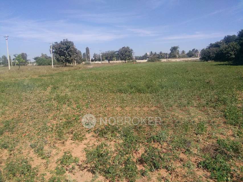 Plot For Sale  In Aishwarya Evergreen In Uganavadi Road