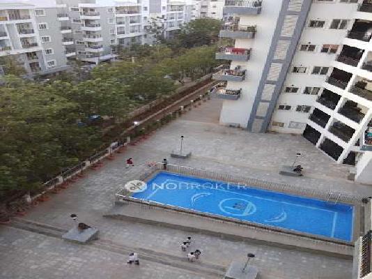 2 BHK Flat In Kolla Luxor Heights For Sale  In Miyapur