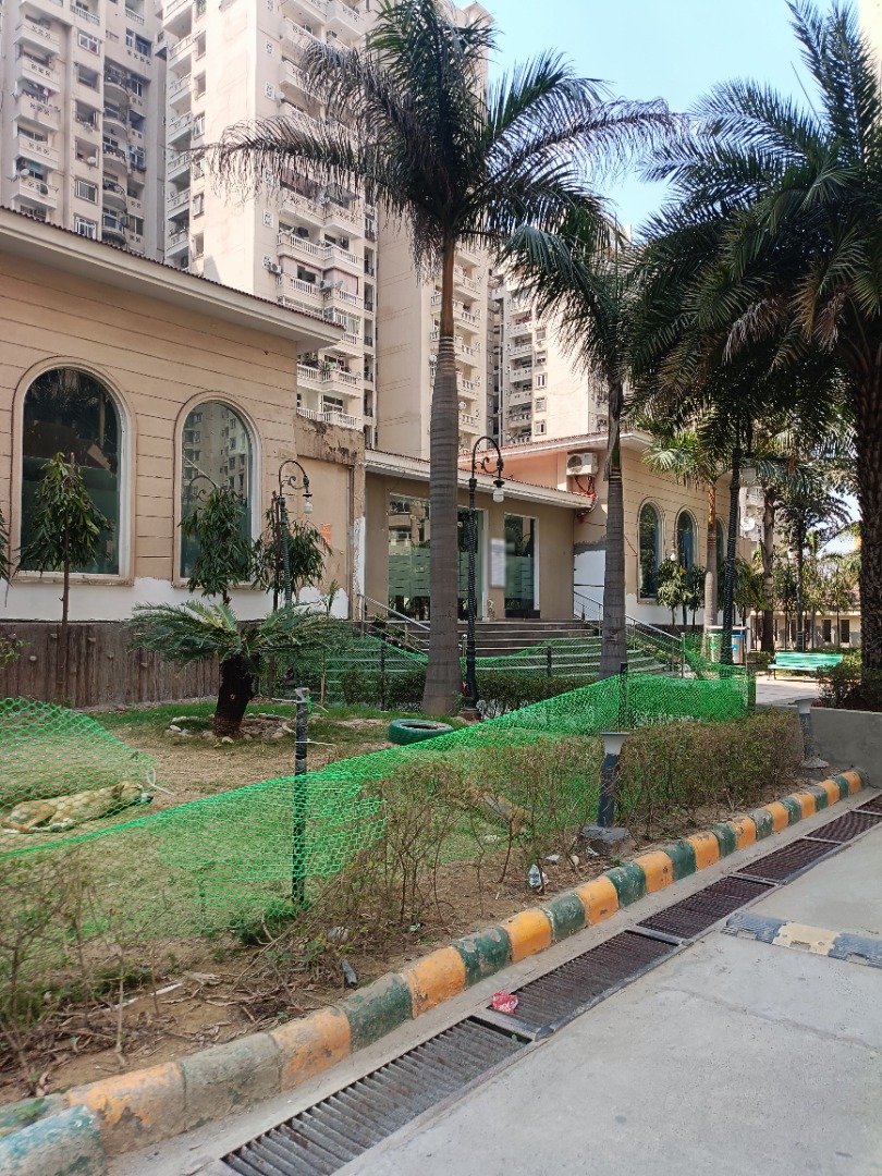 Amrapali Silicon City