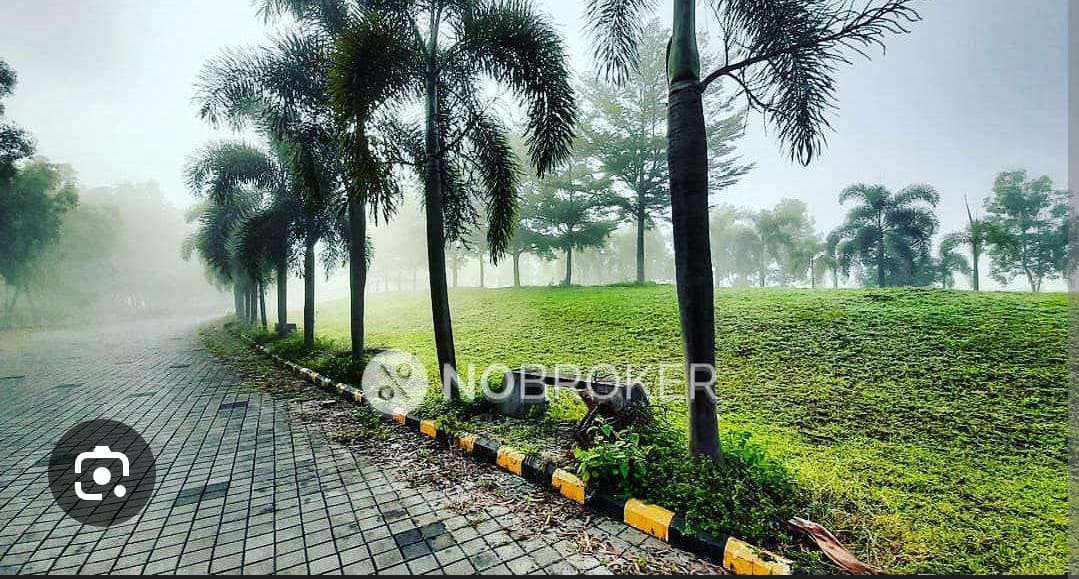 2 BHK Flat In Hinjewadi Hills Township for Rent  In Xrbia Hinjewadi Township Block-a3, Maharashtra 410506, India