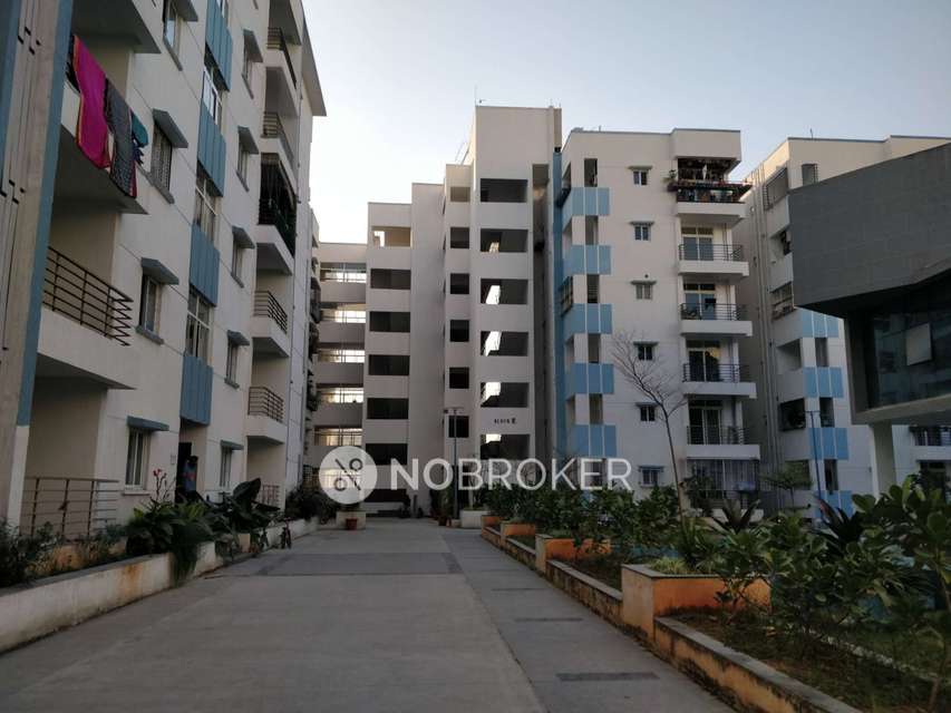 3 BHK Flat In The Lawnz for Rent  In Kokapet