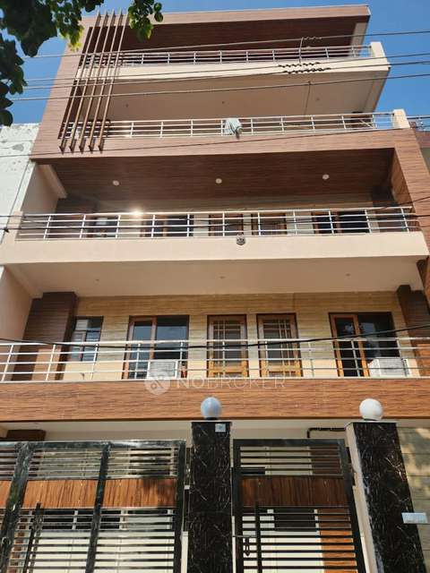 PG for Anyone in Sector 21,