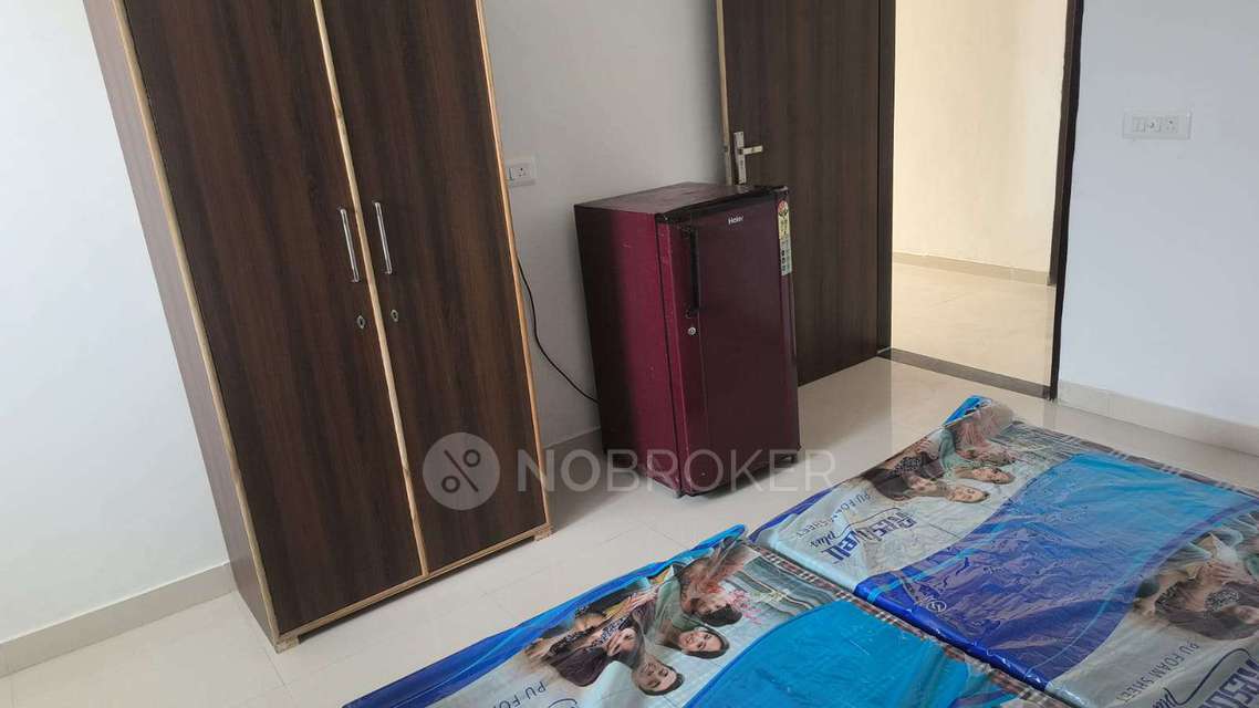 PG for Anyone in Sector 21,