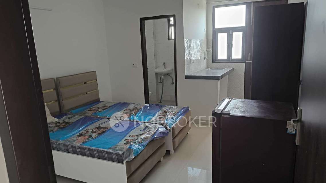 PG for Anyone in Sector 21,