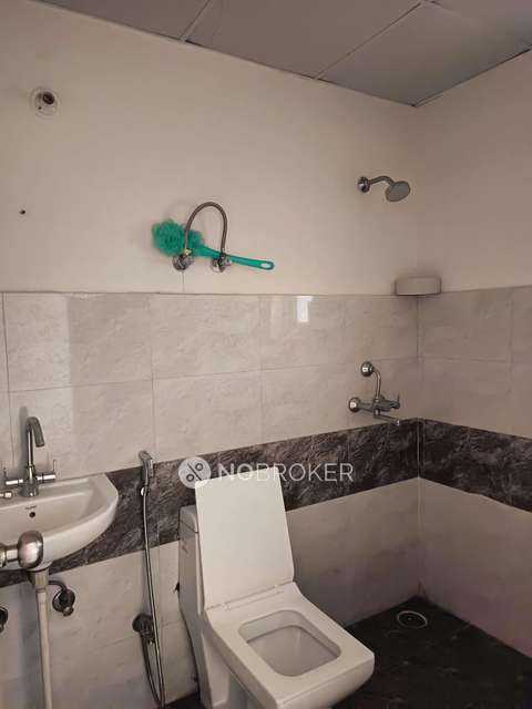 3 BHK Flat In Gls Avenue 51 For Sale  In Sector 92