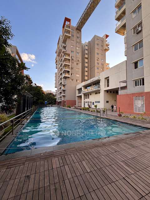 2 BHK Flat In Ramky One North for Rent  In Yelahanka