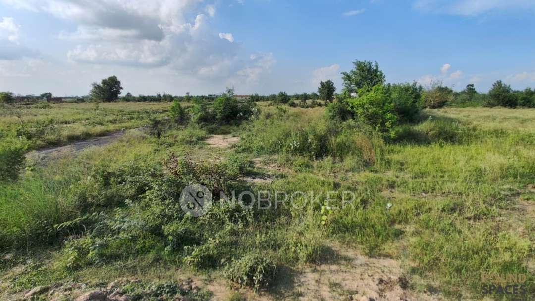 Plot For Sale  In Yamuna Expy, Greater Noida, Uttar Pradesh 201312, India