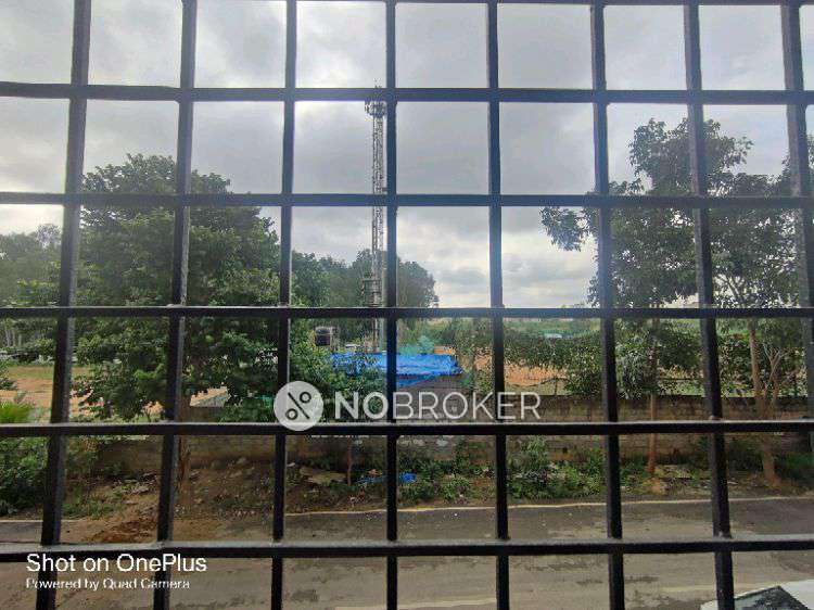 3 BHK Flat In Owners Court Layout East Kasavanahalli Bangalore For Sale  In Kasavanahalli