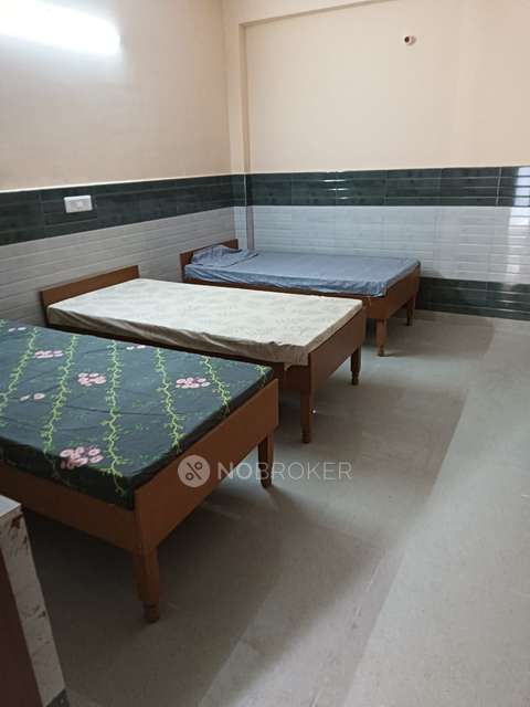 PG for Anyone in  Sector 66