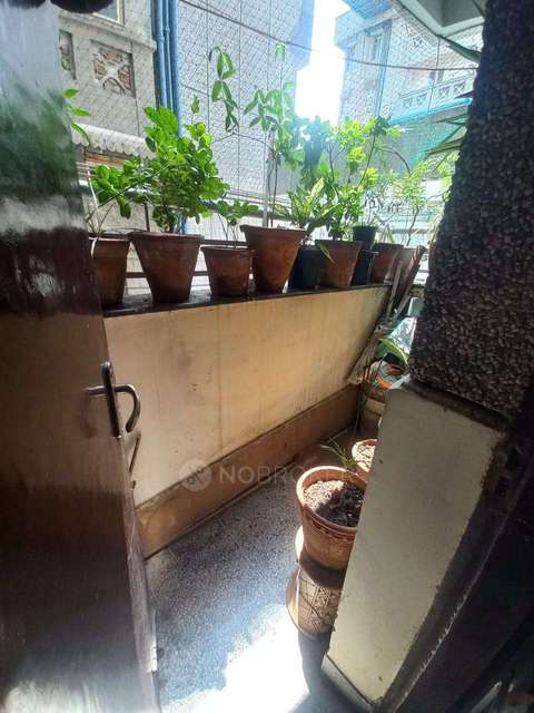 3 BHK Flat In The Gold Croft Cghs  For Sale  In Plot-4