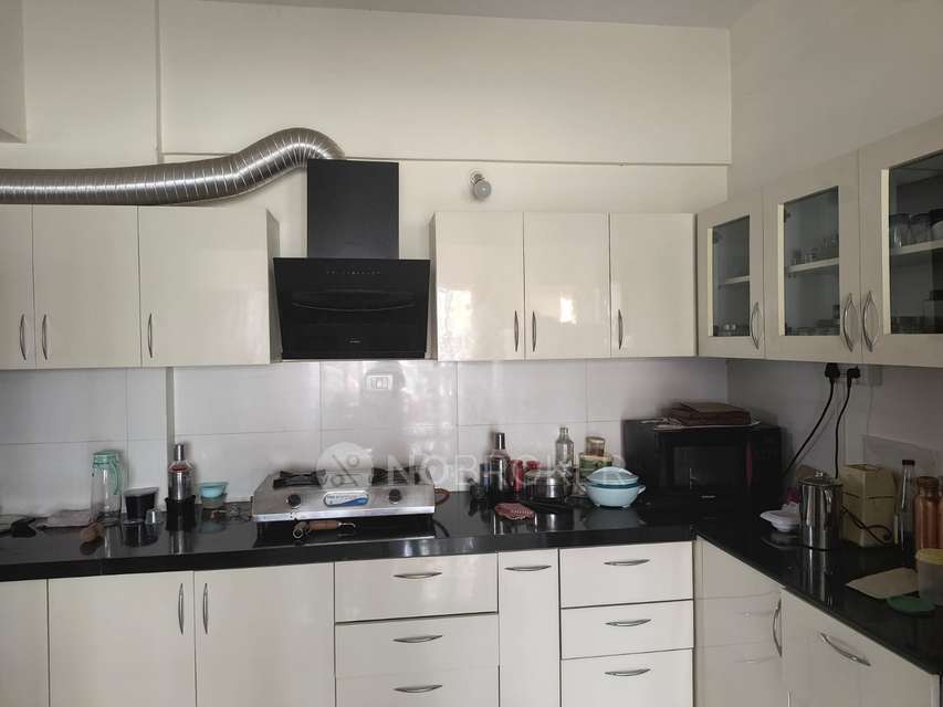 3 BHK Flat In Yin Yang for Rent  In Kharadi