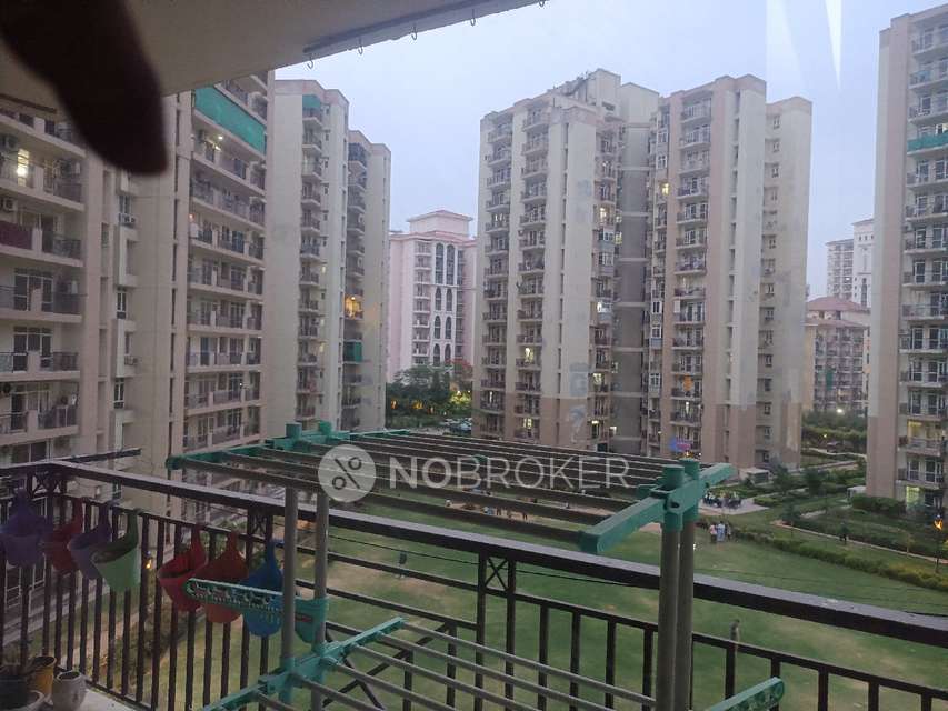 3 BHK Flat In Shree Vardhman Flora for Rent  In Shree Vardhman Flora