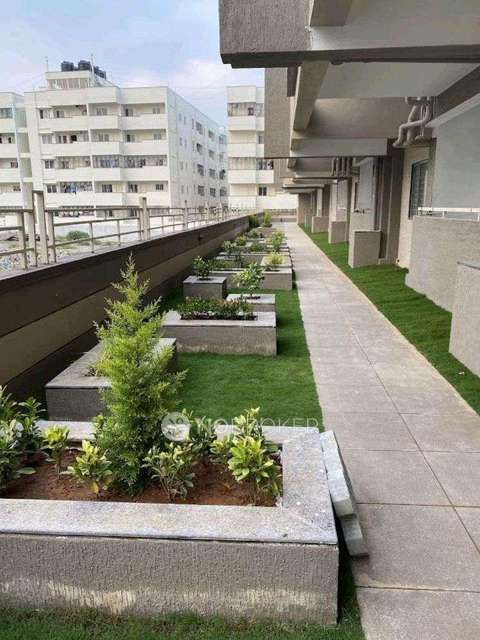 3 BHK Flat In Ds-max Starry For Sale  In Electronic City